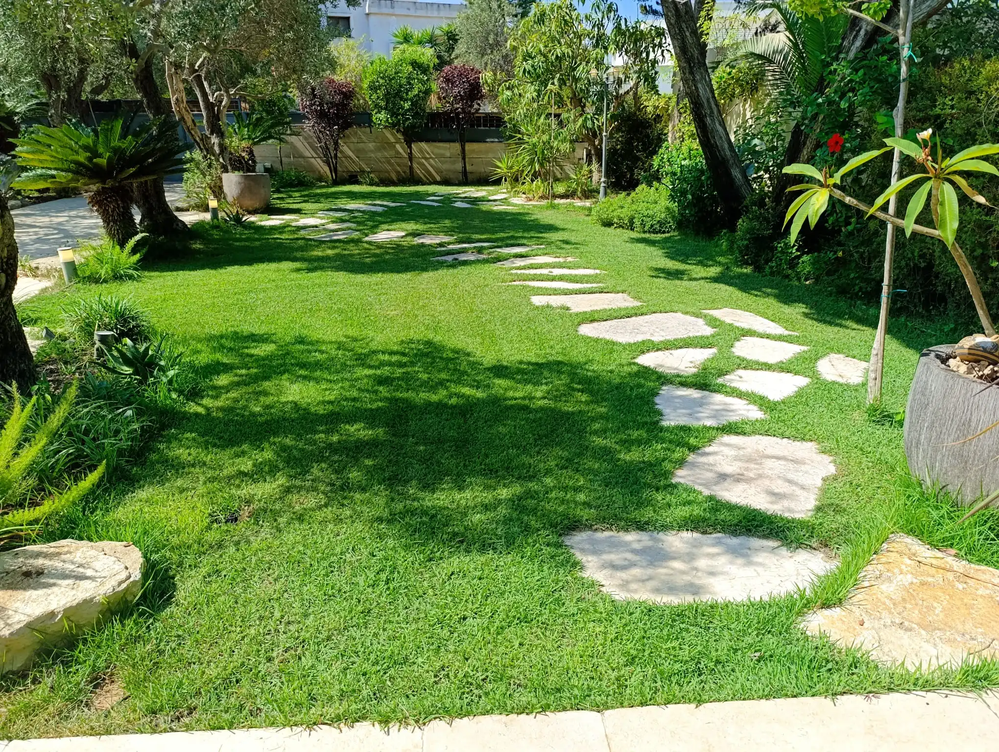 הקמת גינה בקיסריה כולל דשא ירוק והתקנת אבני מדרך